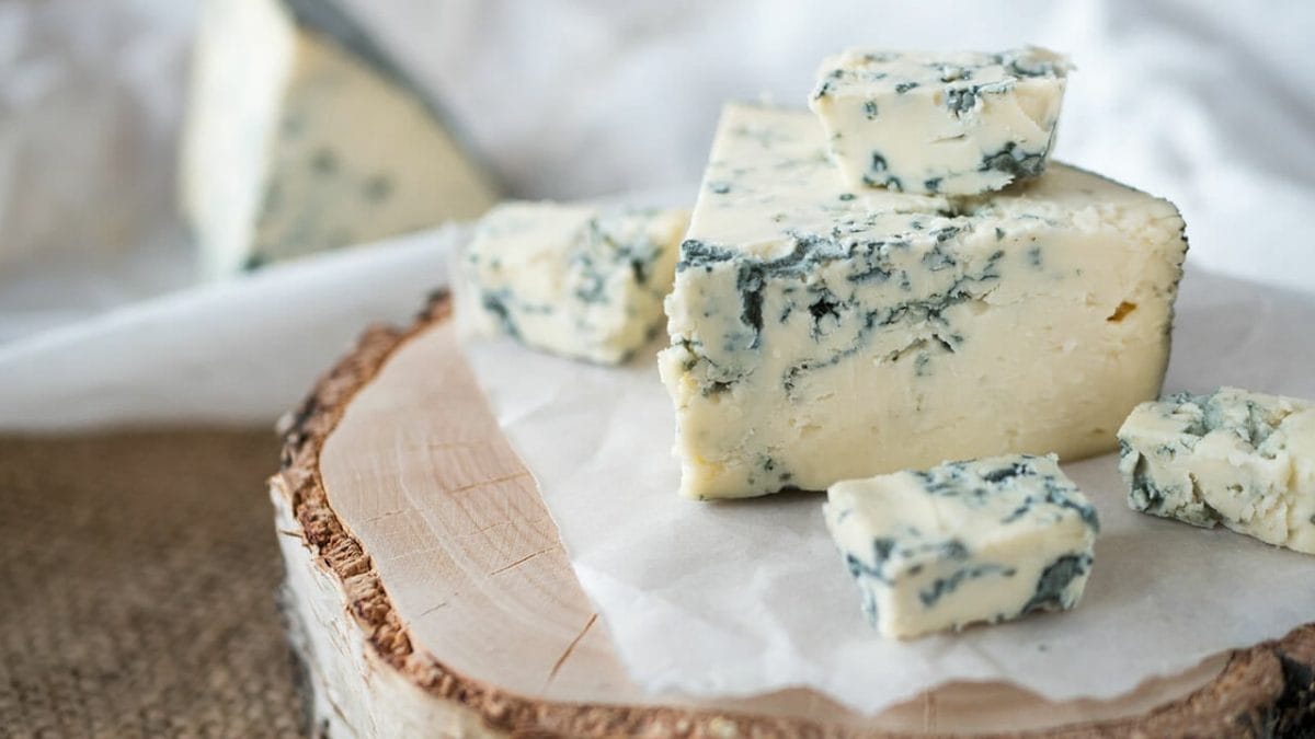 blue cheese ss772749514