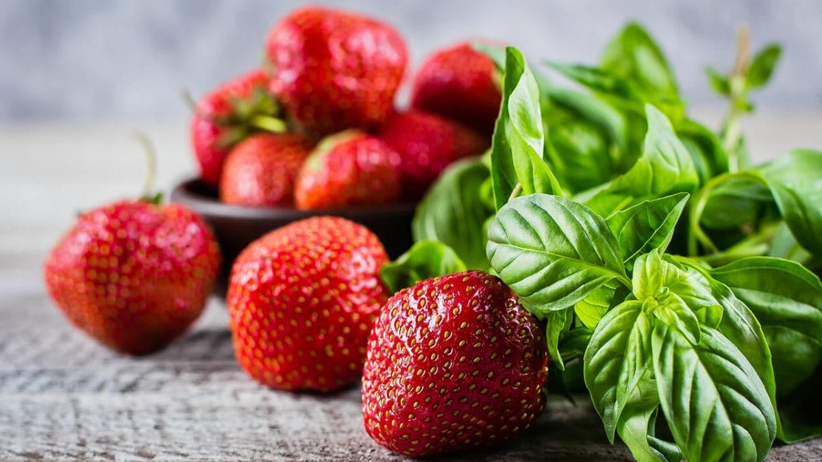 strawberries ss1115703173